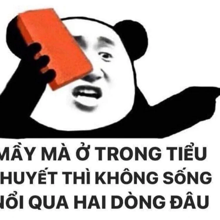 Meme Trung Quốc (2)