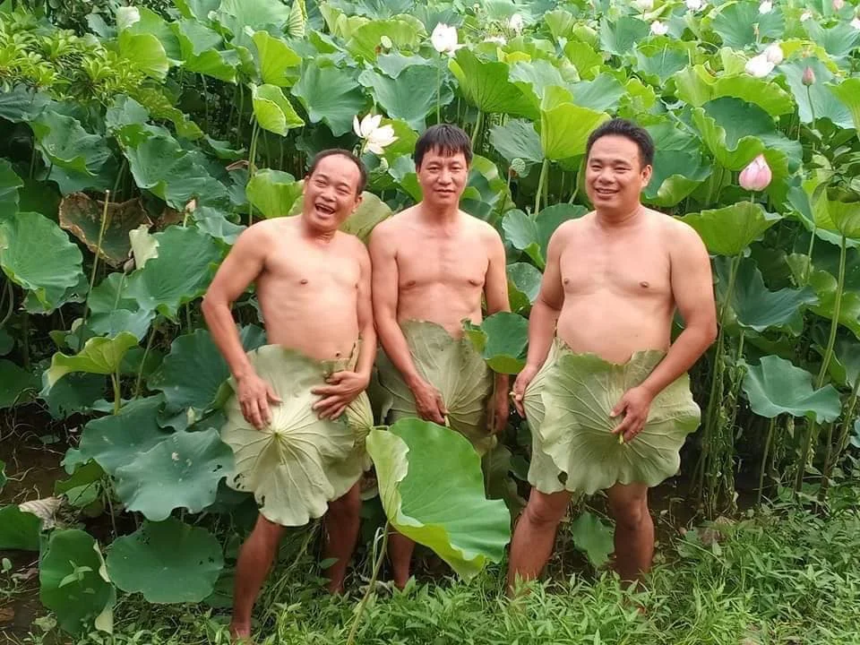Xin đừng tầm thường hóa hoa sen khi chụp ảnh khỏa thân | Phật giáo Việt Nam