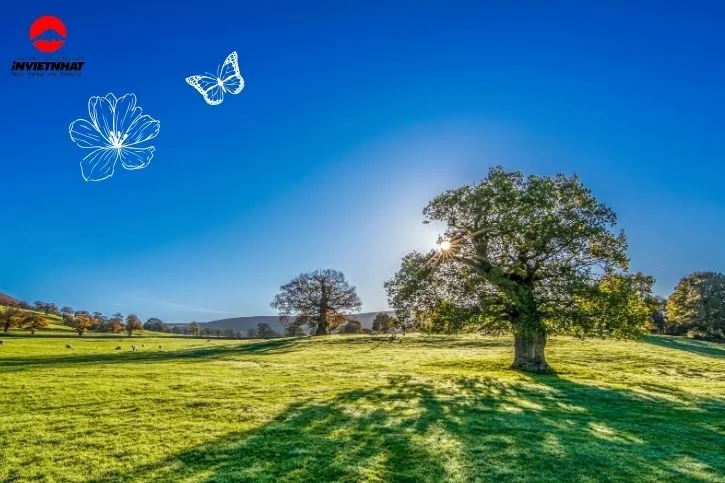 99+ Mẫu background đẹp để ghép ảnh phông nền đơn giản