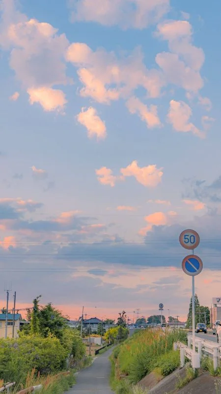 99+ hình nền điện thoại đẹp: thiên nhiên, cute, chill, mèo