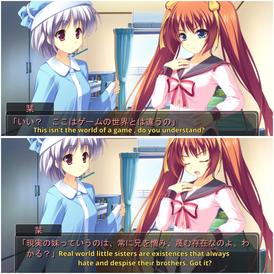 Chị em gái ngoài đời thực (Trường hợp của Ooizumi-kun có chị em gái ruột) : r/visualnovels