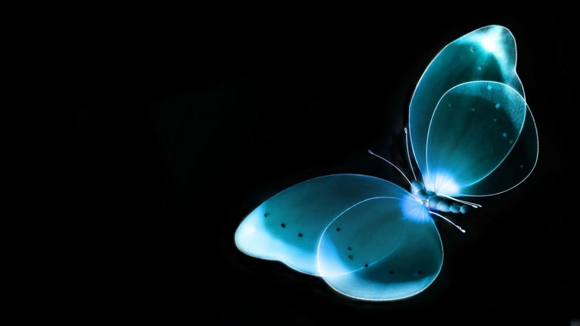 Hình ảnh 3D con bướm màu xanh cyan phát sáng trên nền đen, cánh bướm trong suốt viền sáng nổi bật
