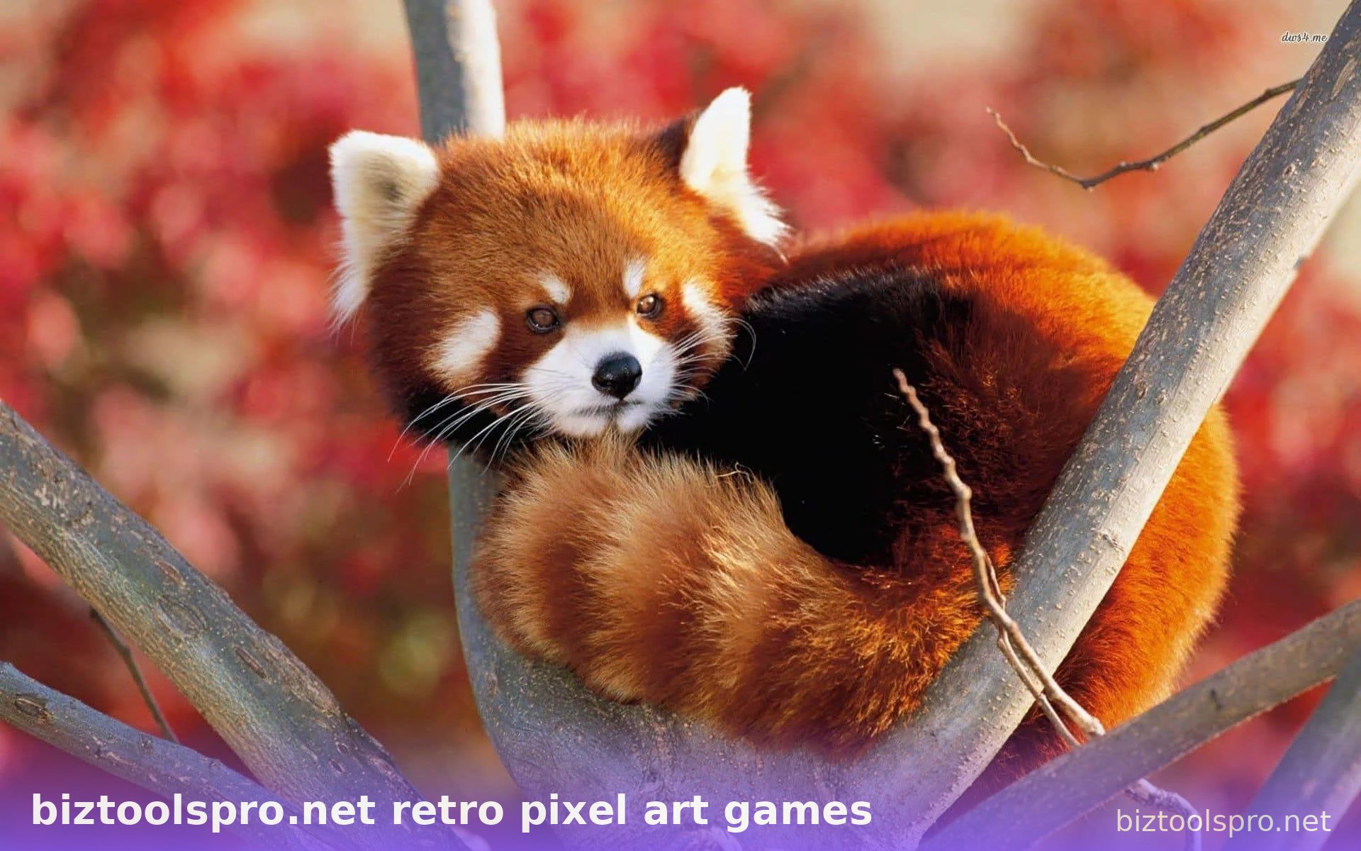 Hình 89 trong bộ biztoolspro.net retro pixel art games