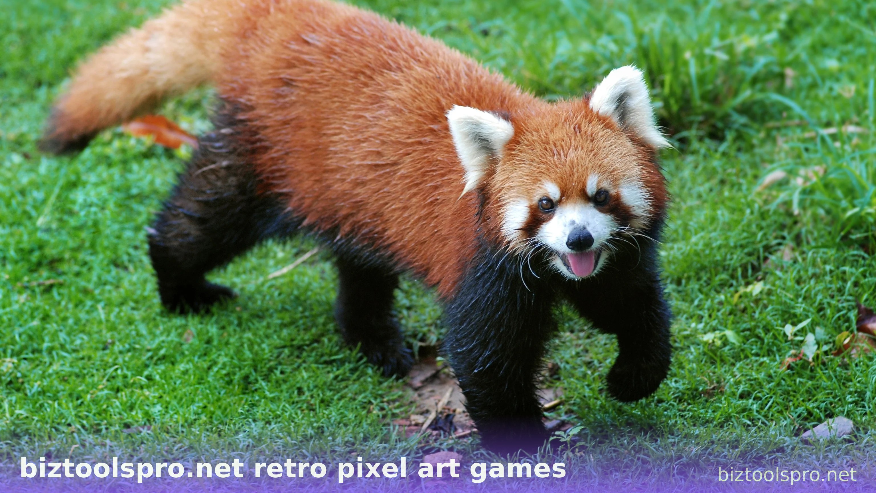 biztoolspro.net retro pixel art games — ảnh 89