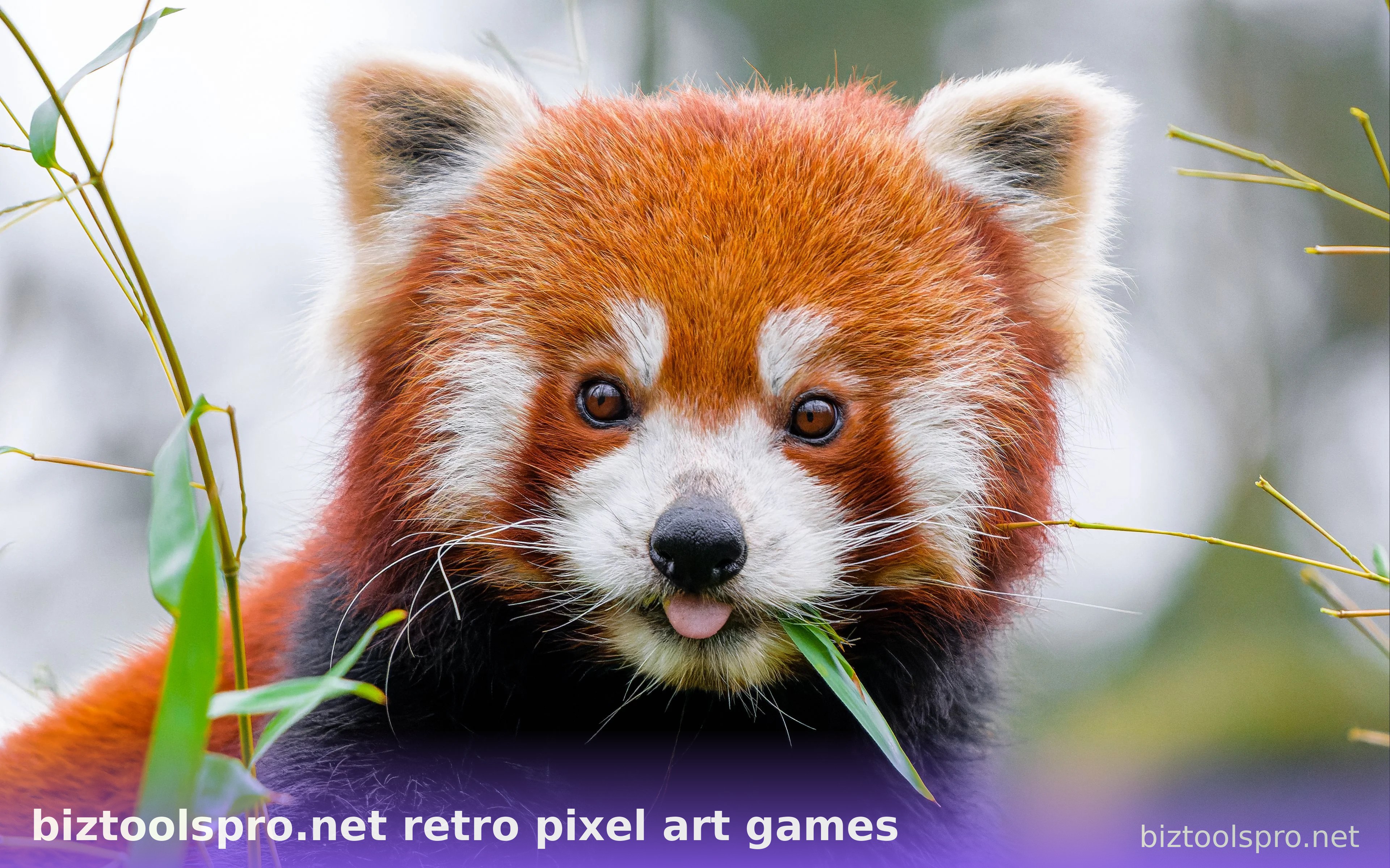 biztoolspro.net retro pixel art games — ảnh 74