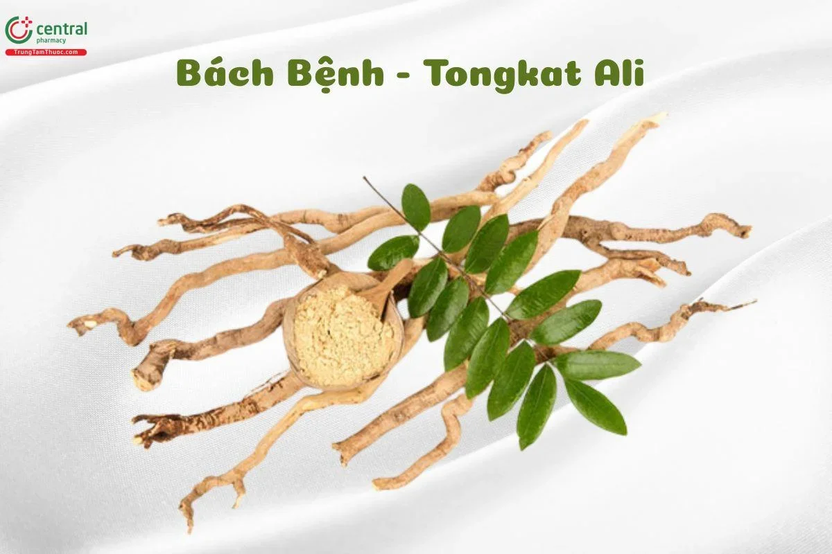 Hình 99 trong bộ thuốc tăng kích thước cậu nhỏ của nhật